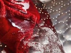 MIELE WTD160 WCS 8/5 Kg 8 MIELE WTD160 WCS 8/5 Kg -Miele 20000104428