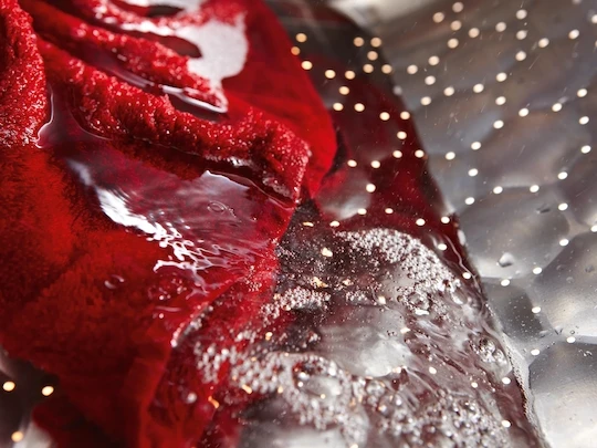 MIELE WTD160 WCS 8/5 Kg 3 MIELE WTD160 WCS 8/5 Kg - Image 3