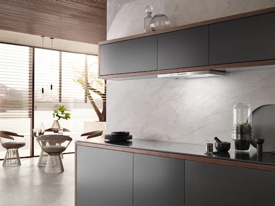 MIELE DAS 2620 6 MIELE DAS 2620 - Image 6