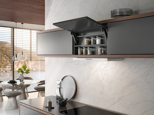 MIELE DAS 2620 4 MIELE DAS 2620 - Image 4