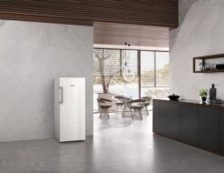 MIELE FN 4722 E -Miele 20000184402